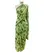 Sarees  Verdes em  Chiffon