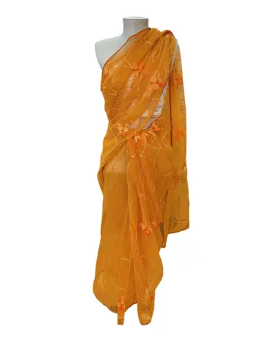 Saree Transparente  com Bordado