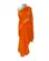 Saree Transparente  com Bordado